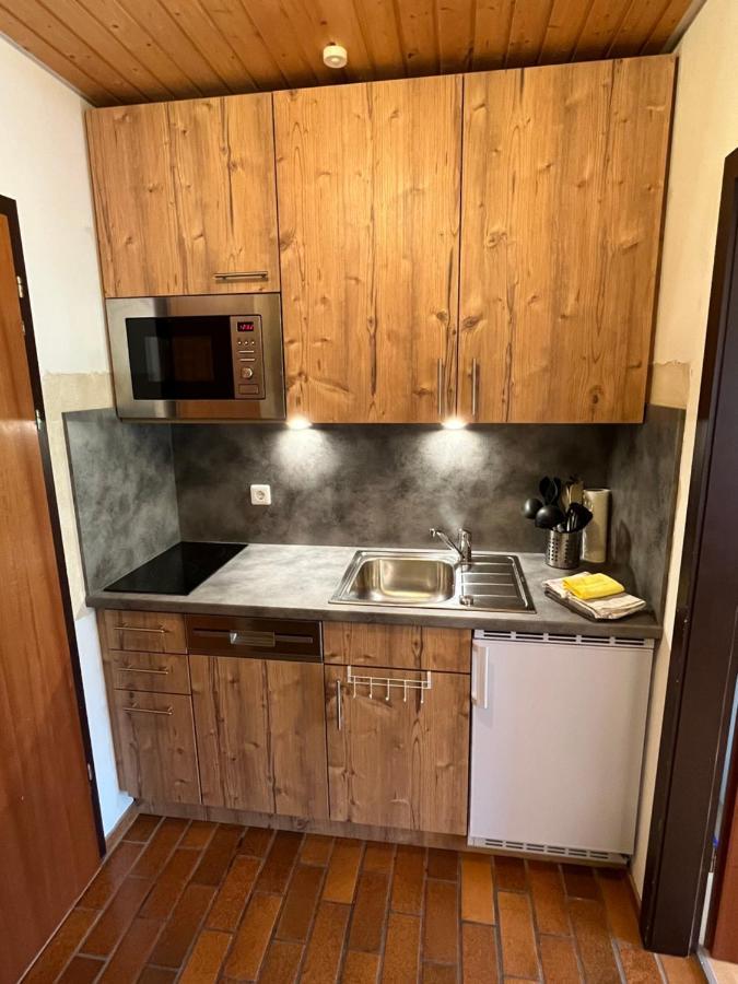 Haus Am Sonnenberg, Todtnauberg, Ferienwohnung 204, Direkt Am Skilift-Skipiste, Naehe Feldberg エクステリア 写真