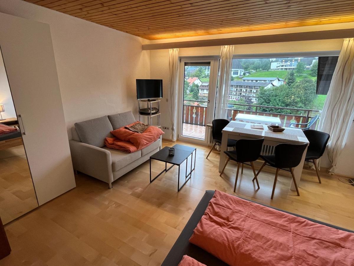 Haus Am Sonnenberg, Todtnauberg, Ferienwohnung 204, Direkt Am Skilift-Skipiste, Naehe Feldberg エクステリア 写真