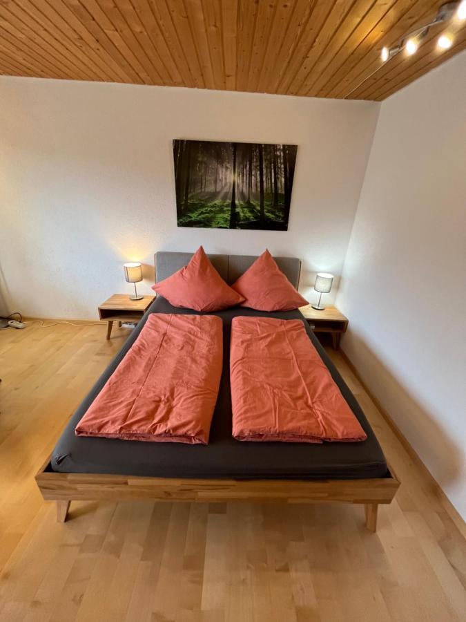 Haus Am Sonnenberg, Todtnauberg, Ferienwohnung 204, Direkt Am Skilift-Skipiste, Naehe Feldberg エクステリア 写真